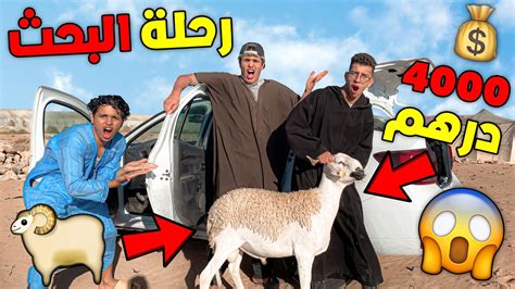 تحدي رحلة البحث عن خروف العيد 🐏😱تصدمنا الأثمنة خيالية 😨💔 Youtube