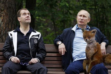 мэм Archives » Страница 2 из 2 » БигПикча НОВОСТИ В ФОТОГРАФИЯХ
