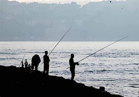 Silhouettes Of Amateur Fishermen Hook Fishing Rod Hobby Vector Hook