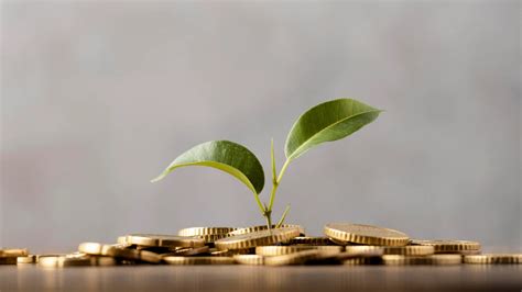 How To Get Seed Funding A Step By Step Guide For Founders Business