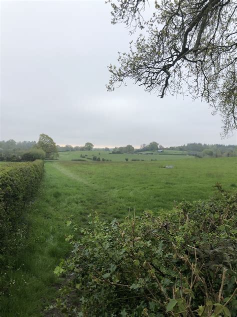 Solent And Dorset New Forest Minstead Gay Outdoor Club