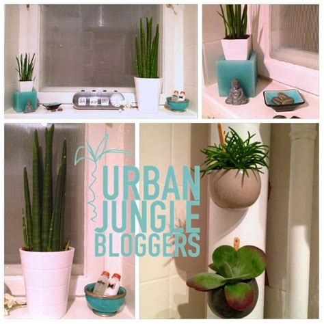 Urban Jungle Bloggers My Plant Shelfie Eat Blog Love