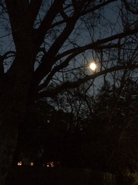 First Full Moon After the Winter Solstice | Linda Lenore