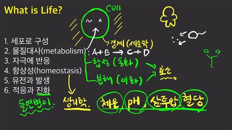 생물의 특성 6개 정리feat바이러스는 생물일까 Youtube