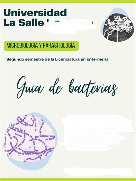 Solution Guia De Microbiolog A Bacterias Studypool