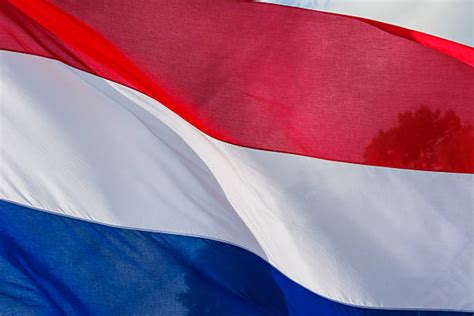 нидерландский флаг - Сток картинки - iStock