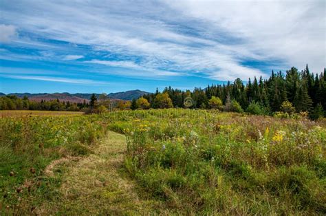 Fall Foliage In The Adirondack Mountains Stock Photo Image Of Bolders