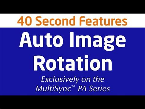 PA243W, 24" Professional Wide Gamut Desktop Monitor (White ...