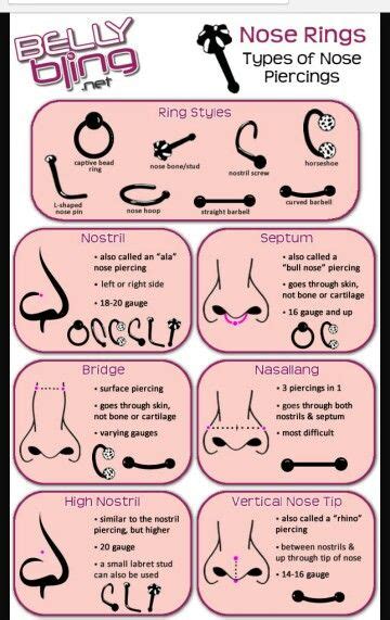 Placement And Name It Nose Piercing Bull Nose Piercing Piercing Chart