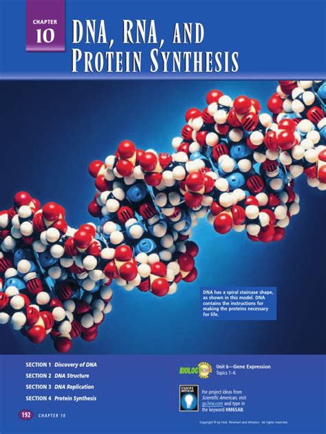 Dna Rna and Protein Synthesis | PDF | Dna Replication | Dna