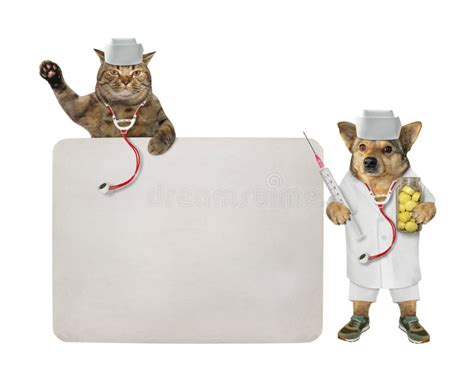 Dog And Cat Doctors Near Blank Sign Stock Photo Image Of Doctor