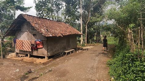 Suasana Pagi Hari Di Pedesaan Dengan Pemandangan Alam Indah Diiringi