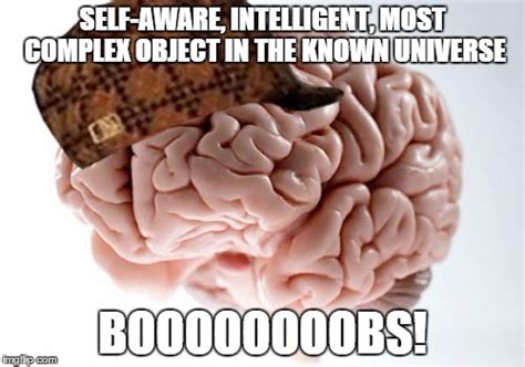 Scumbag Brain Meme Imgflip