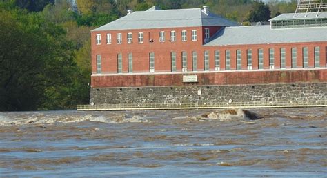 The Colorful Birds Are Here – LIFE IN THE LOWER SUSQUEHANNA RIVER WATERSHED