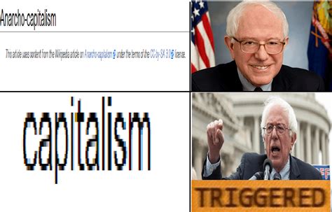 A Triggered Meme That Will Trigger You Rtriggeredmemes