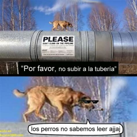 Fuck The Police Meme By Garrek Memedroid