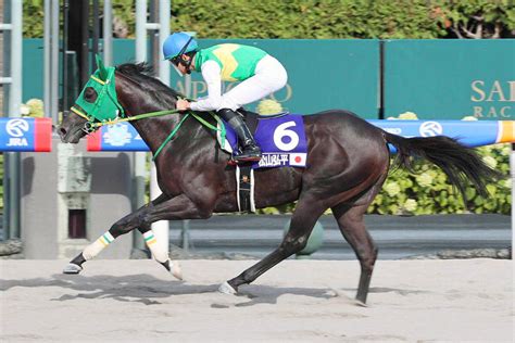 土曜のメインレースの注目激走馬福島11r・tuf杯 Umatoku 馬トク