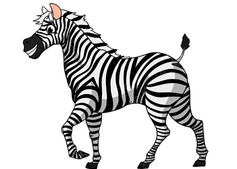 Zebra Cartoon Clip Art In Bianco E Nero, Zebra, Cartone Animato, Zebra