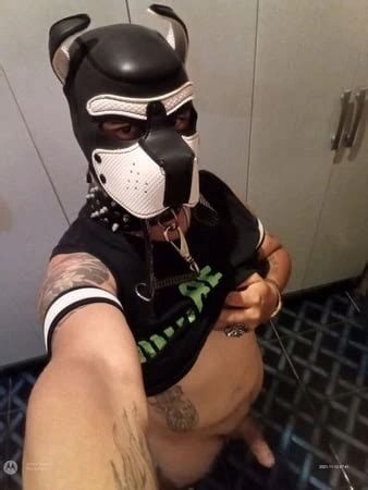 Filmes pornôs Gay de Porno Brasileiro mais recentes Vídeos de sexo de Porno Brasileiro 80