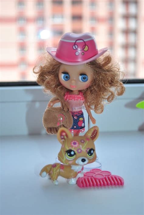 Набор из 5 куколок Blythe (Блайз) - Маленький зомагазин (Littlest Pet ...