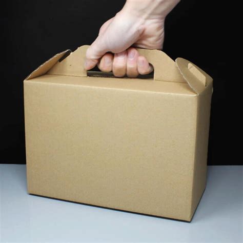 Large Corrugated Carry Box Handled Lunch Box