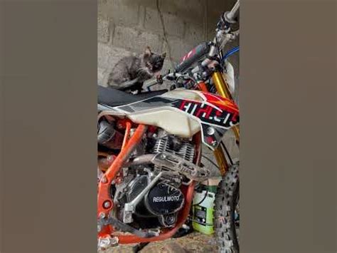 купить для него шлем? #рекомендации #мото #эндуро #enduro #мотосезон ...