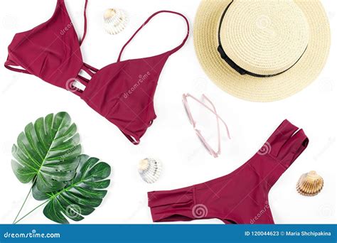 Summer Holiday Background Tropical Summer Concept With Red Bikini Leaves And Seashells On Blue
