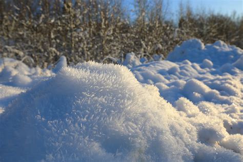 Плюшевый сугроб | Yablor.ru