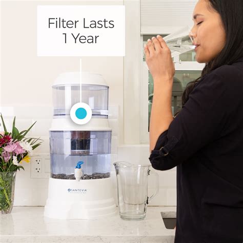 Santevia Alkaline Water Filter - Ceramic Replacement Filter – Santevia US