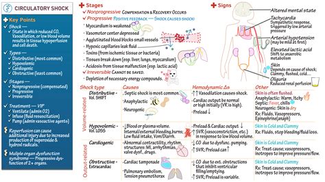 Pathology Circulatory Shock Draw It To Know It