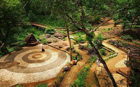 Liburan Seharian Di Hutan Pinus Seribu Batu Songgo Langit Badan