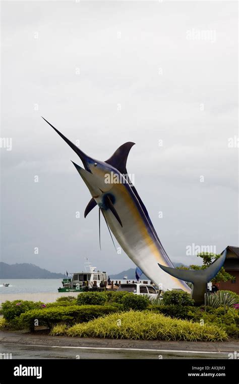 Sword Fish Hi Res Stock Photography And Images Alamy