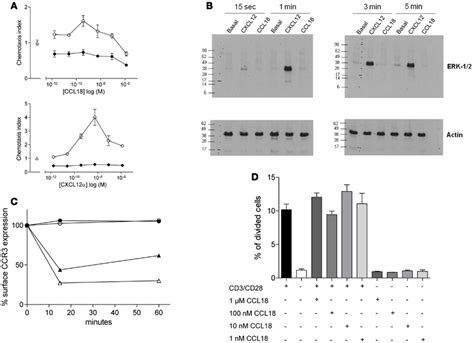 Ability Of Ccl18 To Induce Signal Transduction Pathways And Influence