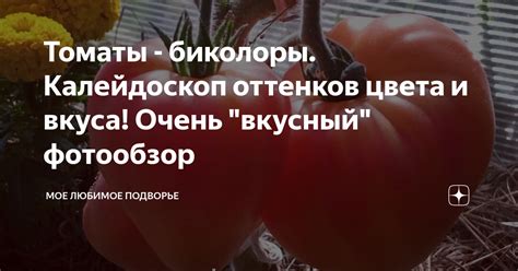Томаты - биколоры. Калейдоскоп оттенков цвета и вкуса! Очень "вкусный ...