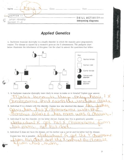Applied Genetics Human Heredity Chapter Worksheet With Answers