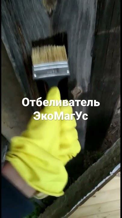 От клиента. Отбеливатель для древесины ЭкоМагУс - YouTube