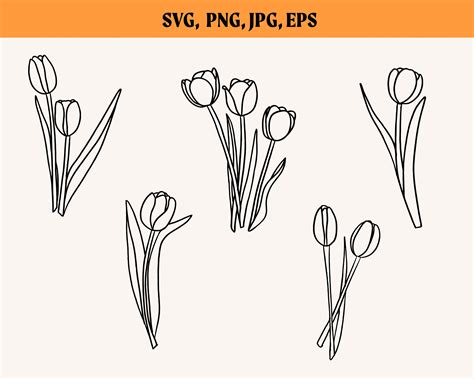 Spring Tulips Svg Bundle Tulip Svg Spring Flowers Svg Floral Svg