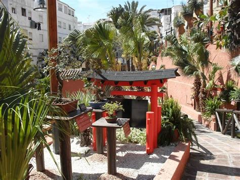 Bonsai Garden Museum Tutto Quello Che Cè Da Sapere 2025