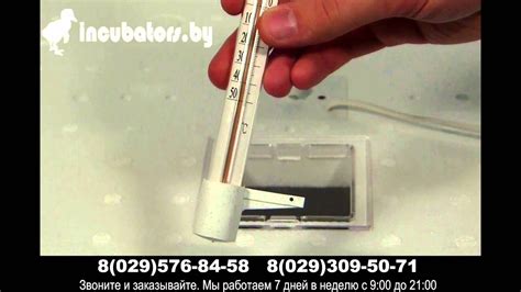 Инкубатор бытовой 63 яйца Идеальная наседка (механическим поворот яиц ...