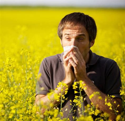 Tips To Reduce Hay Fever Symptons From Oxford Online Pharmacy