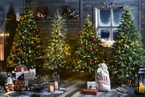 The Range Christmas Trees White At Emily Jenkins Blog