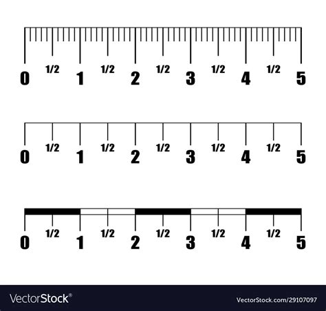 ruler  metric imperial measure royalty  vector image