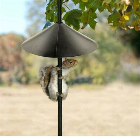 Bird Feeder Squirrel Baffle Raccoon Proof Pole Hook