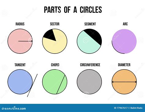 Name Of A Circle