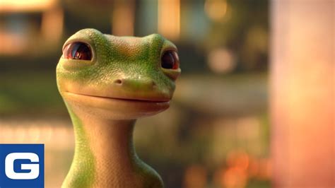 Geico Insurance Car Financial Report