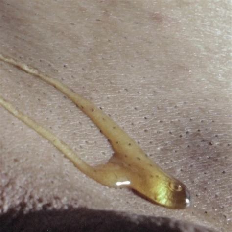 The Glutton Started Working But Got Hungry Gay Latino Porn Feat Elgloton Xhamster