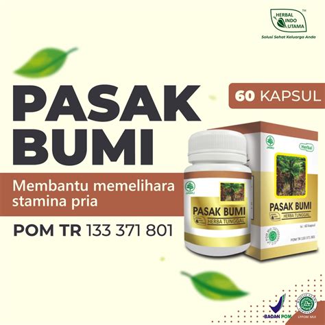 Jual Kapsul Pasak Bumi Herbal Tingkatkan Stamina Dan Kesuburan Pria