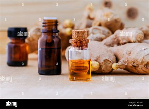 Rosemary Green Ginger Flower Hi Res Stock Photography And Images Alamy