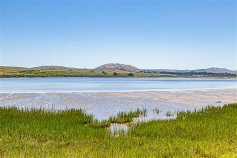 9 Cool Things To Do In Tomales Bay California California Crossroads