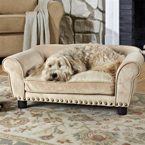 How Can I Protect My Couch From My Dog